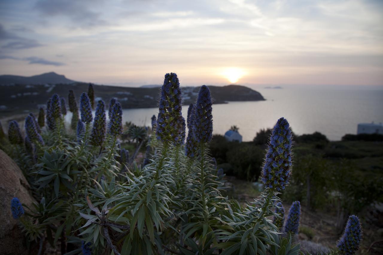 Plan-B Holidays Kalo Livadi Buitenkant foto